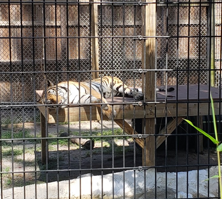 ZooWorld Zoological Park (Panama&nbspCity&nbspBeach,&nbspFL)